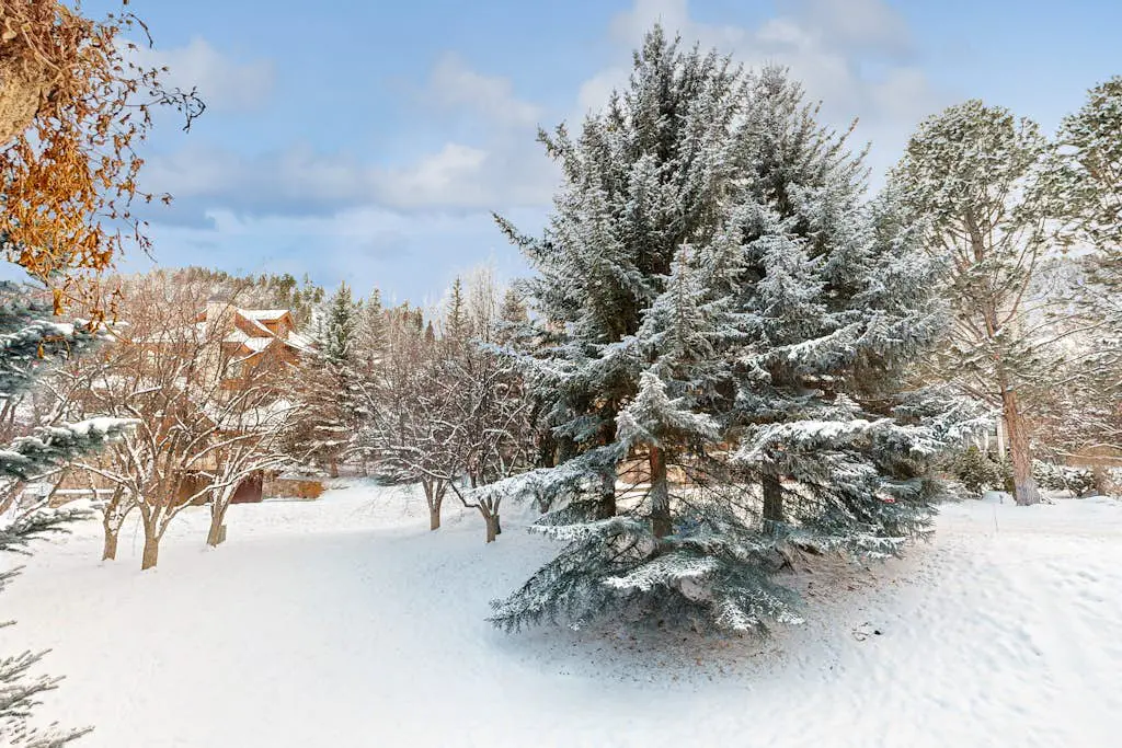 Seasons Lodge #202
