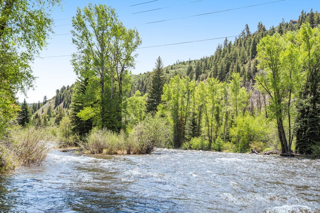 Riverfront, ground-floor condo with fireplace & fishing access - near Riverwalk