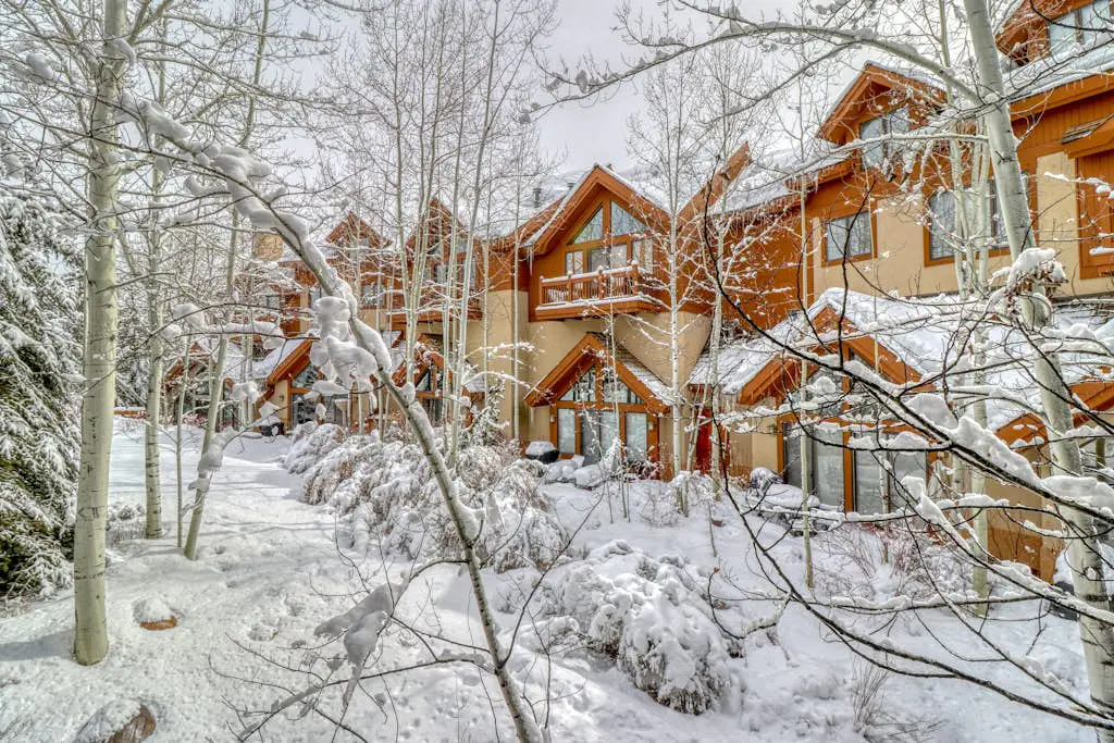 Snowy Spruce Sanctuary