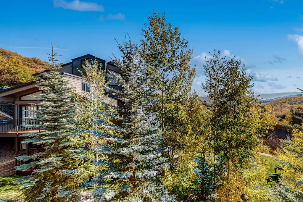 Snowmass Village A5