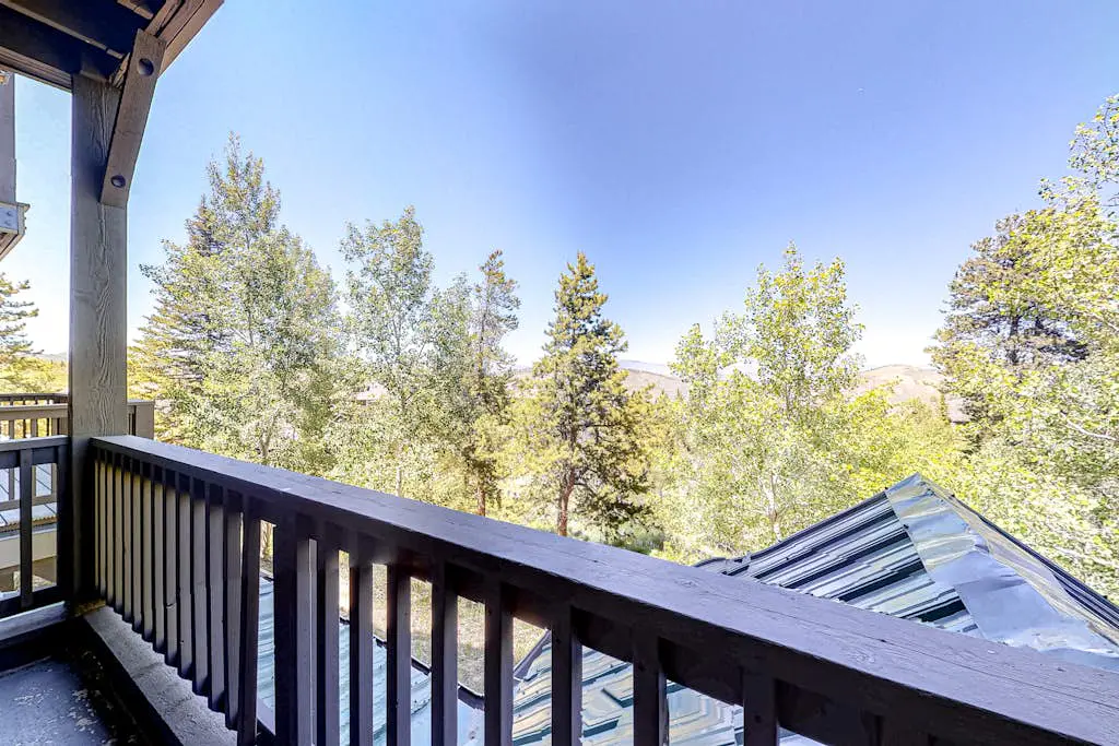 The Alpine Dream