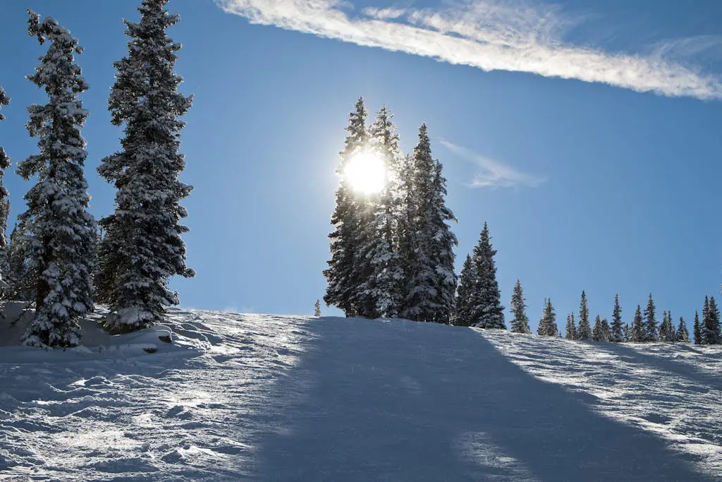 A Slice of Silverthorne