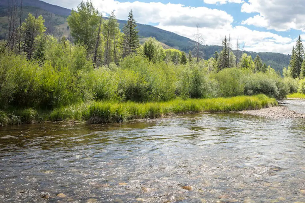 A Slice of Silverthorne