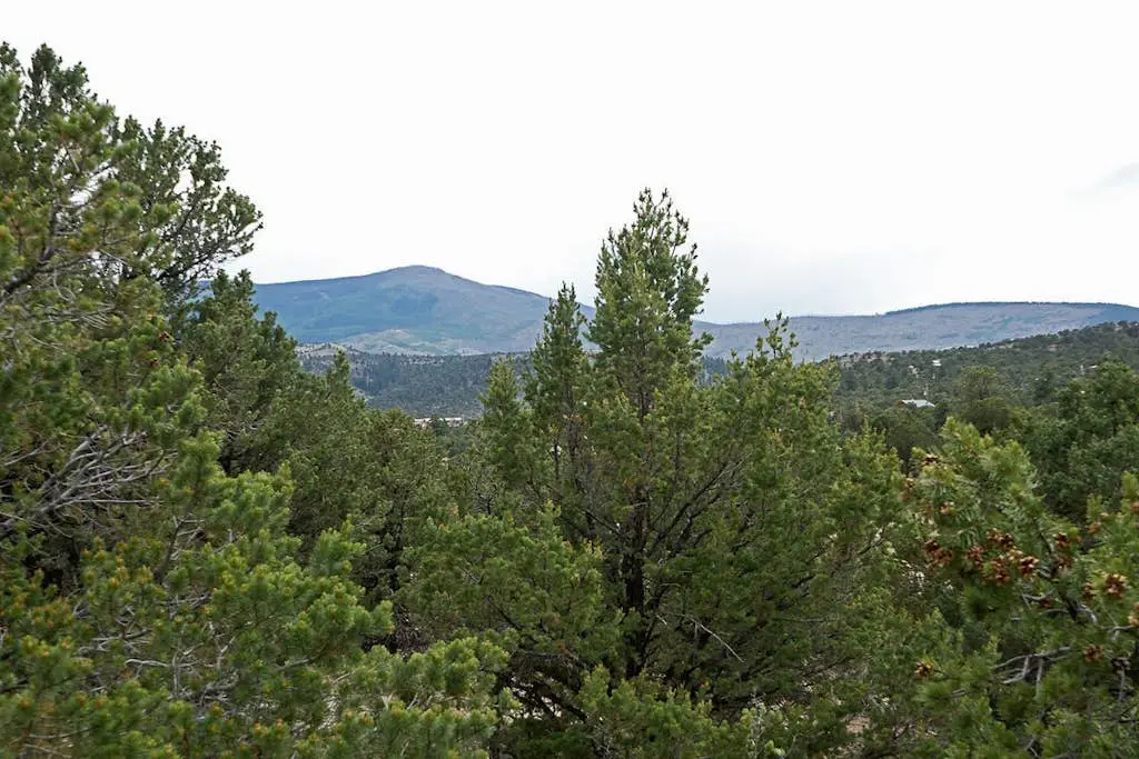 Alpine Mountain Top Home
