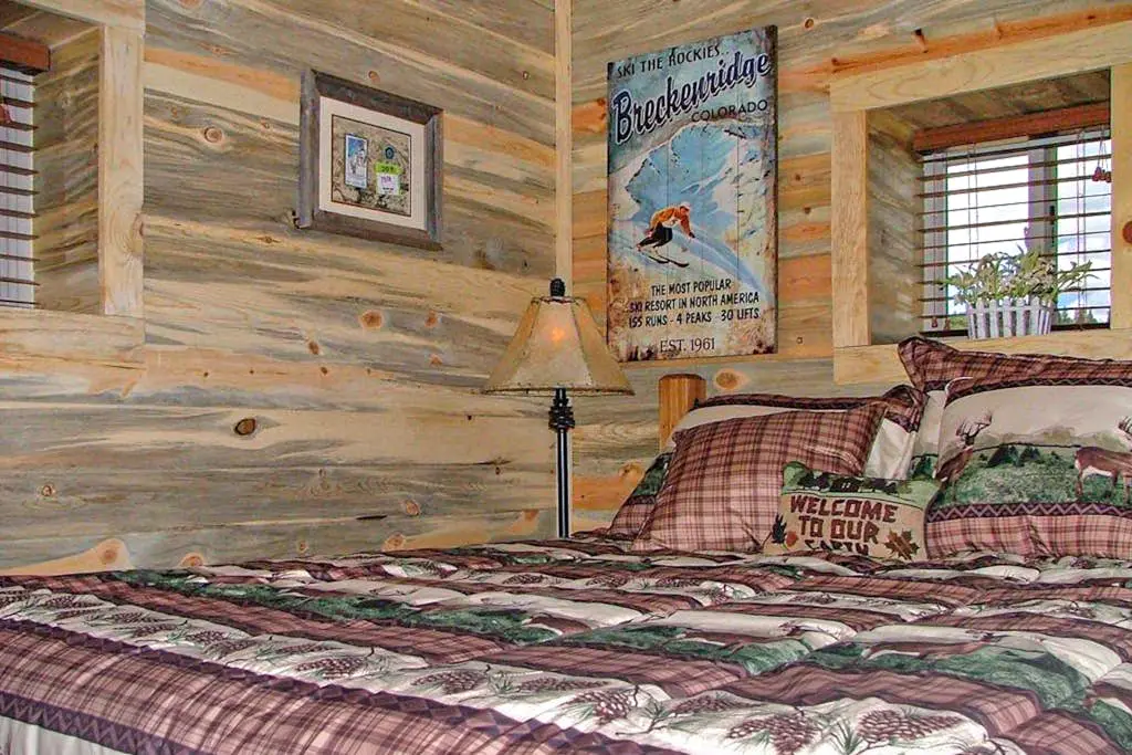 Mountain View Cabin