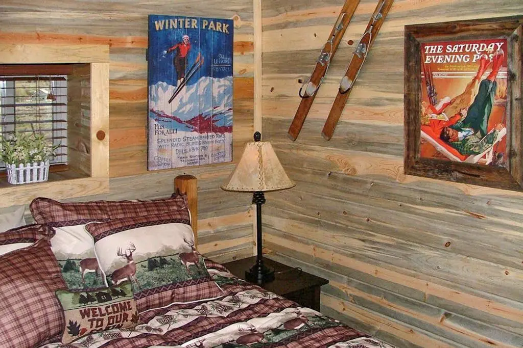 Mountain View Cabin