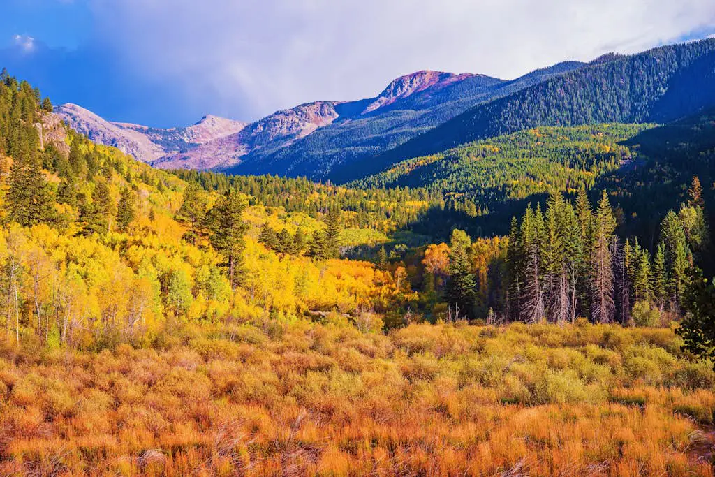 Valley View