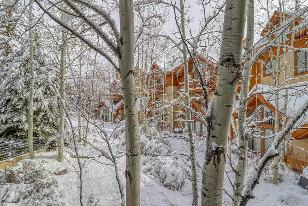 Spruce Tree Lodge #208