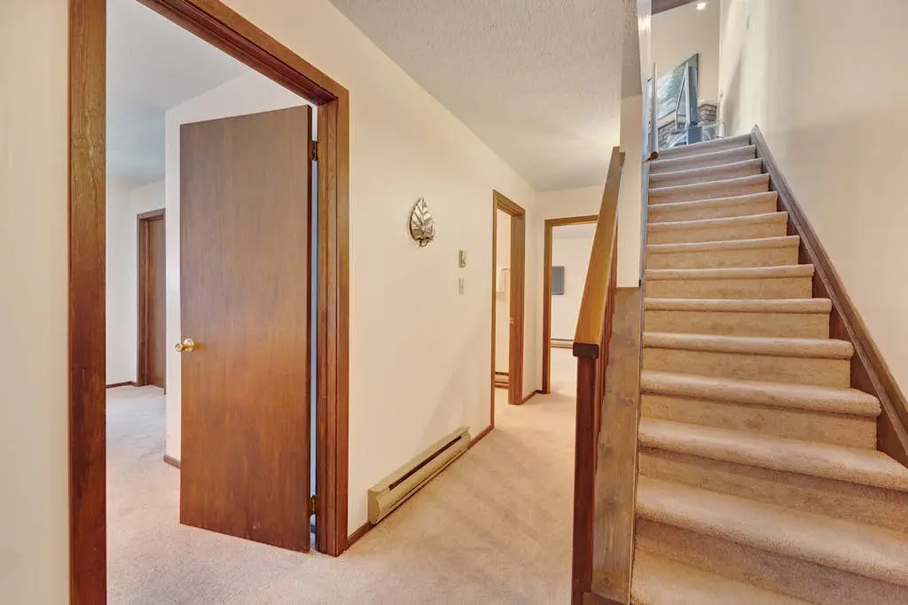 Camelback 302
