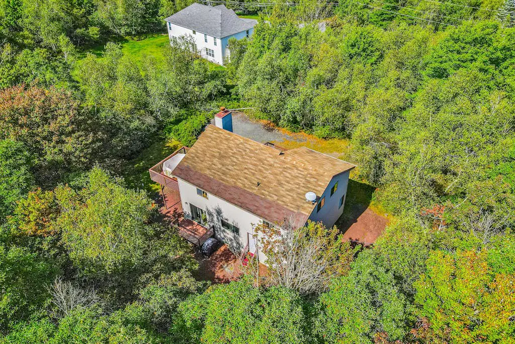 House in the Woods