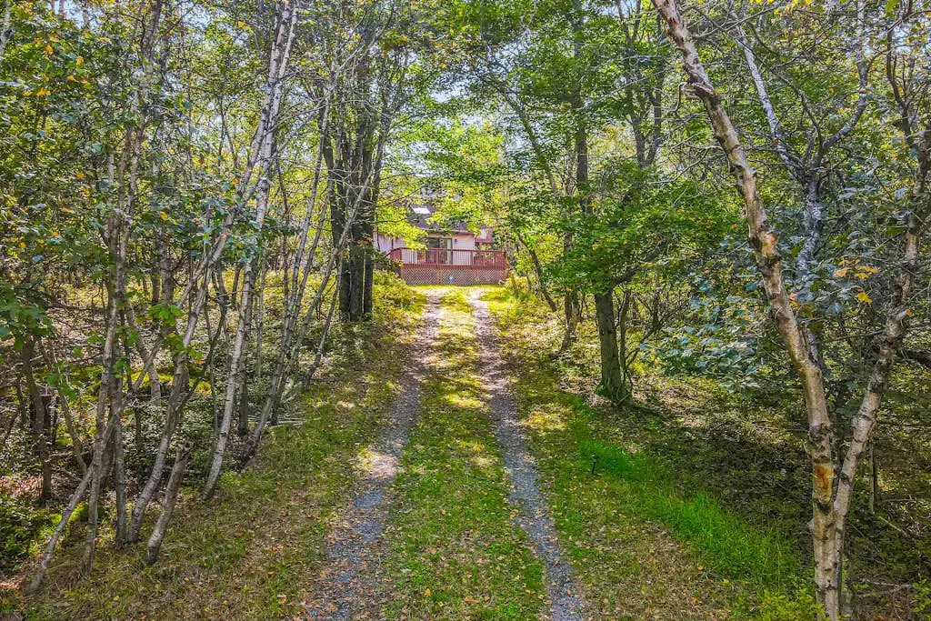 House in the Woods