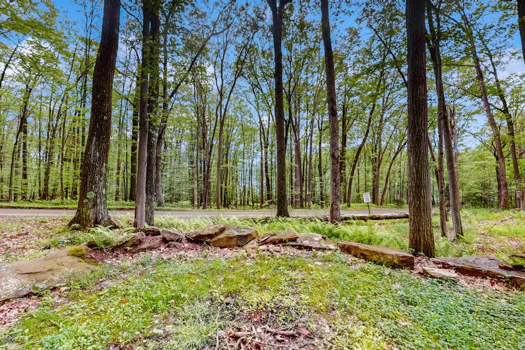 Hundred Acre Wood