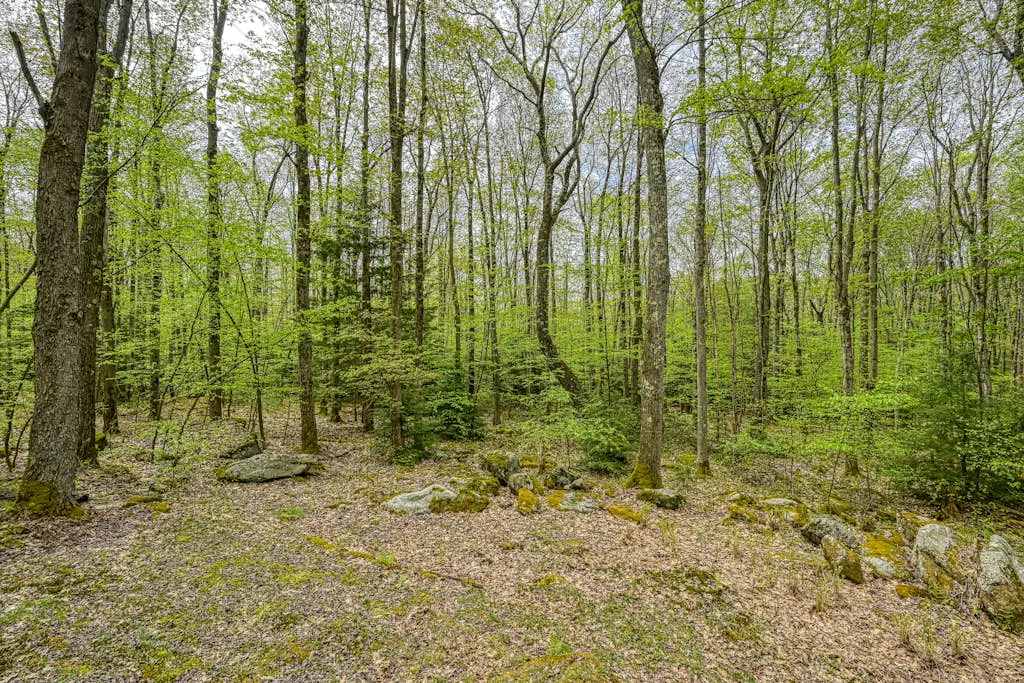 Woodsy Way Cabin