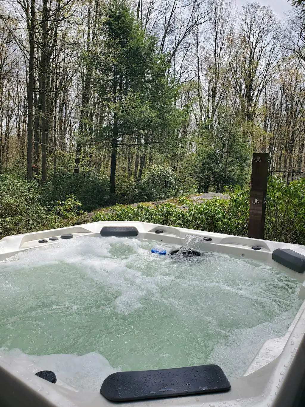 Charming 4BR Home - HOT TUB - Oakland