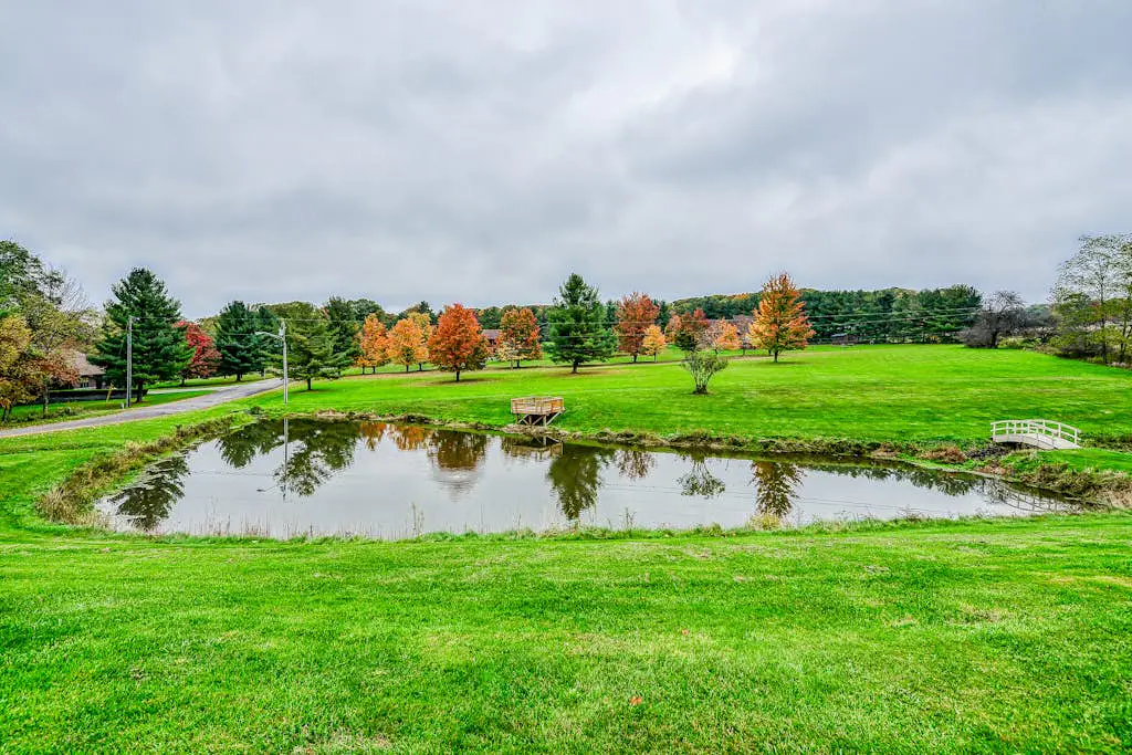 Gleanings Pond
