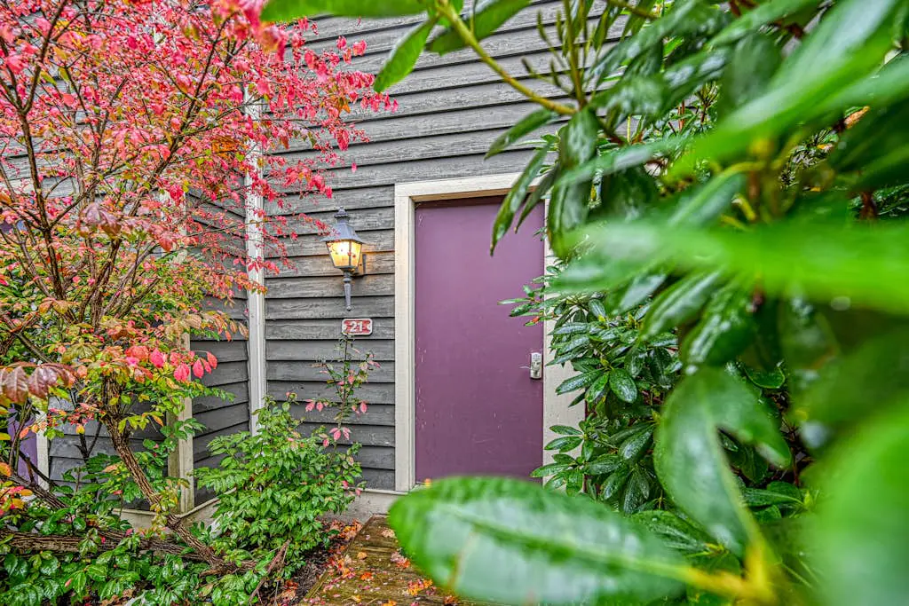Hibernation Hideaway