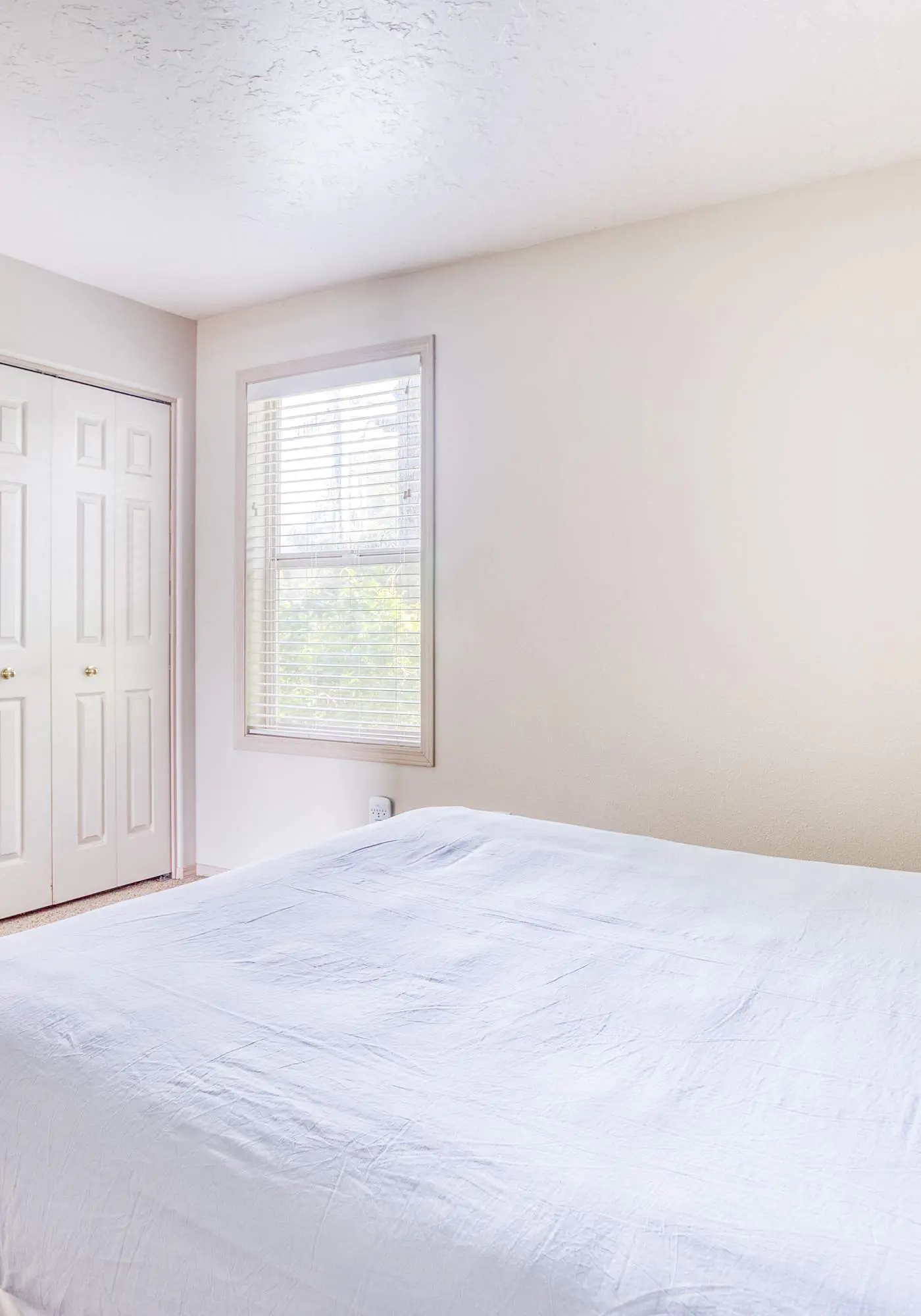 Panoramic Ocean Views & Cozy Coastal Escape