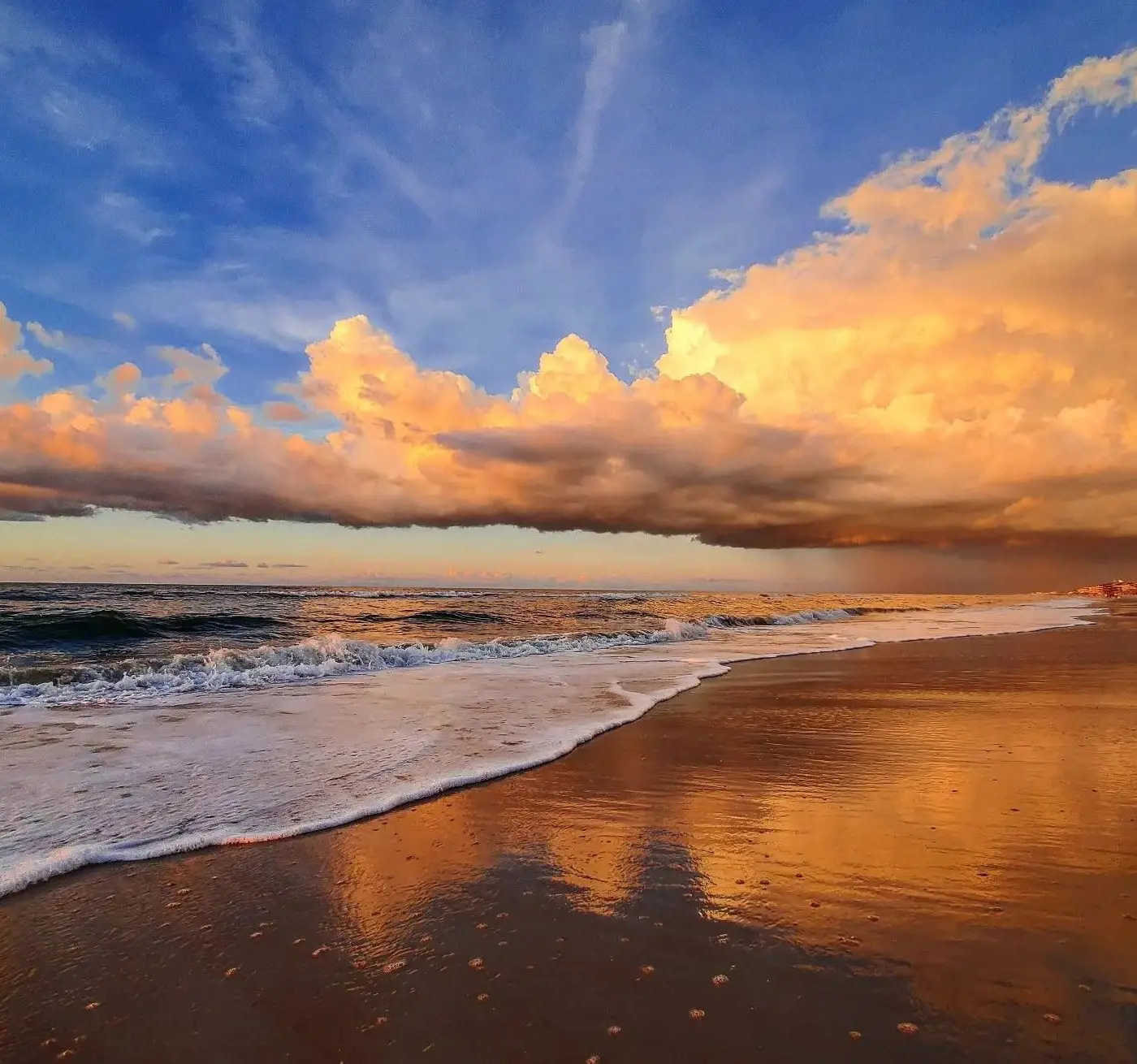 Topsail Reef 268