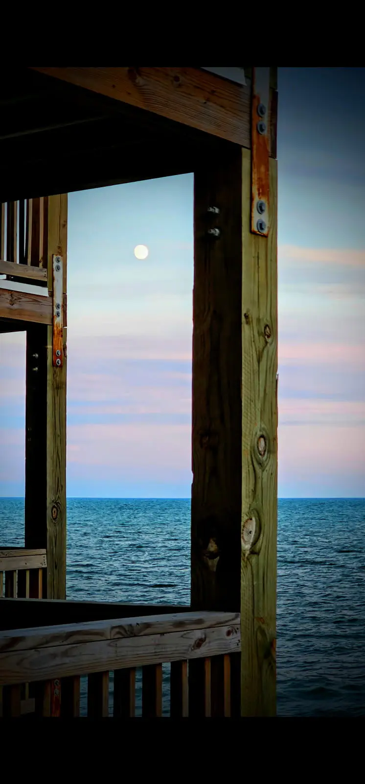 Topsail Reef 268