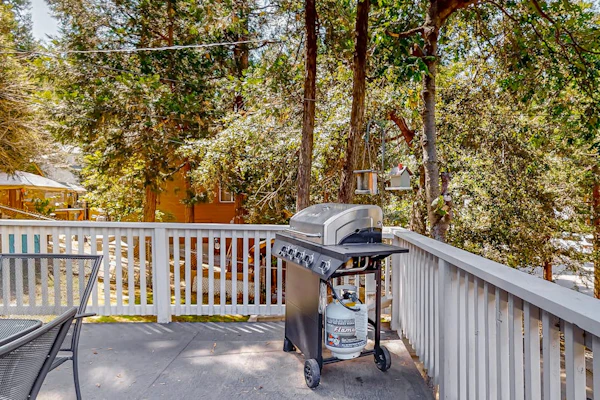 Bohemian, peaceful dog-friendly cabin with mountain views, large yard, and games