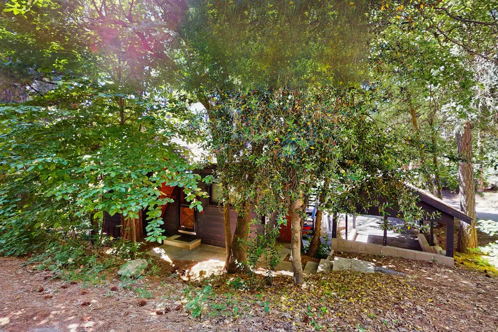 Wooded Comfort