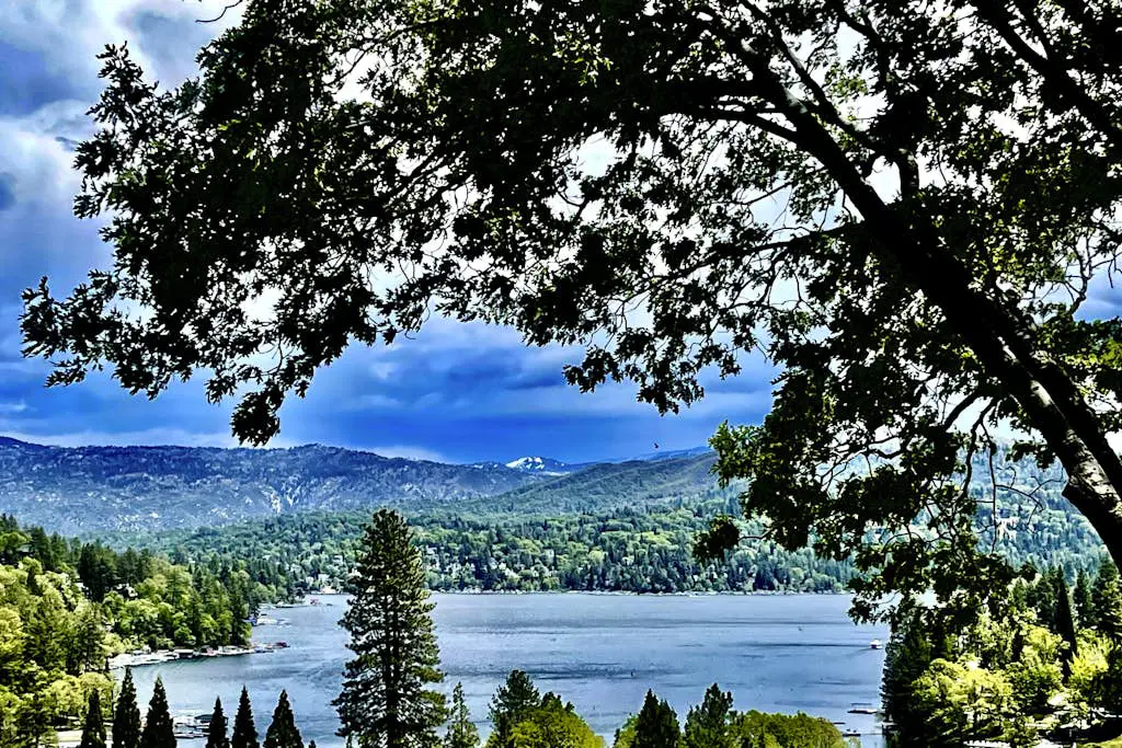 Surreal Feel Lakeview Chalette