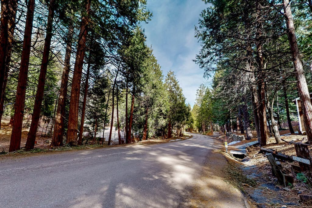 Dog-friendly cabin surrounded by trees and wildlife with fireplace & deck