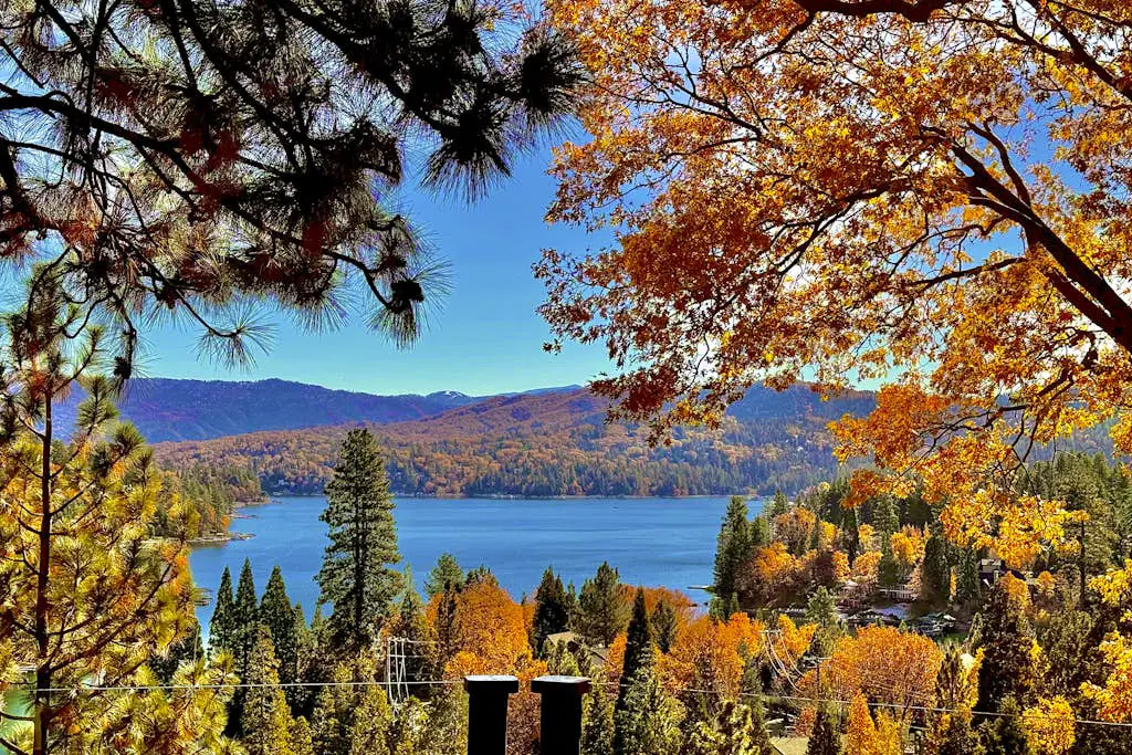 Surreal Feel Lakeview Chalet