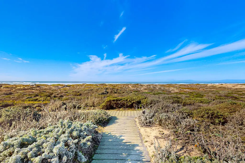 Monterey Dune Dream