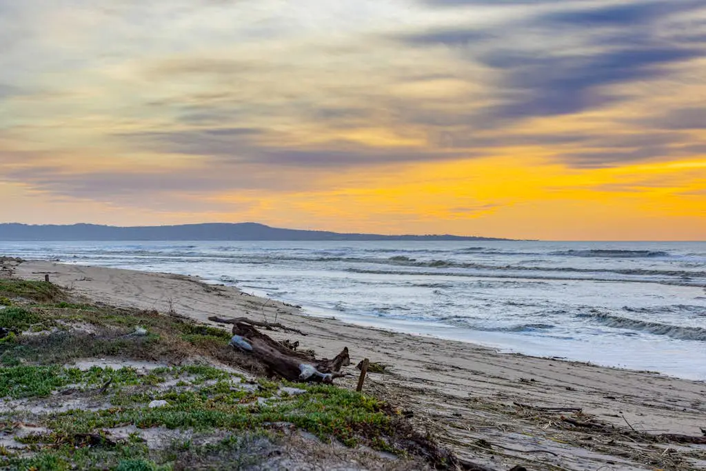 Monterey Dune Dream