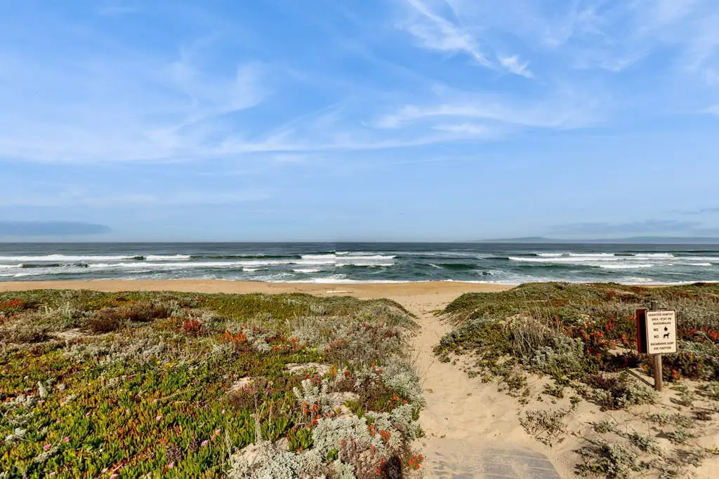 Oceanview Oasis at Monterey Dunes