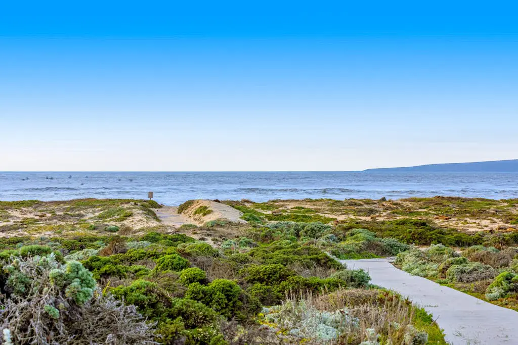 Oceanview Oasis at Monterey Dunes