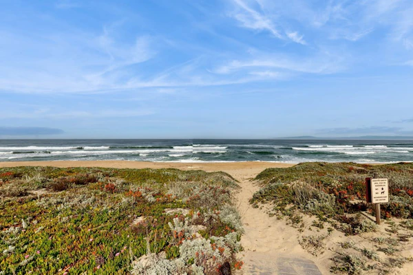 Beachfront condo with private patio, beach access, shared pool & hot tub.