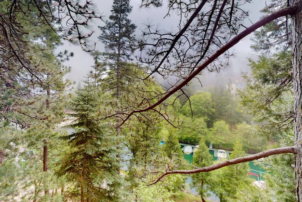 Rocky Pines