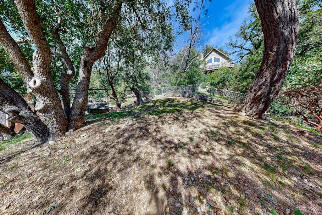 Matterhorn Woods