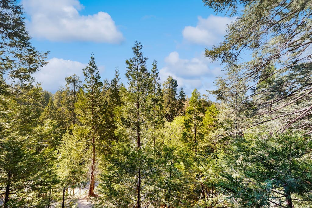 Chic, Pet Friendly House w/Gas Grill, AC & Back-Up Generator - Amazing View