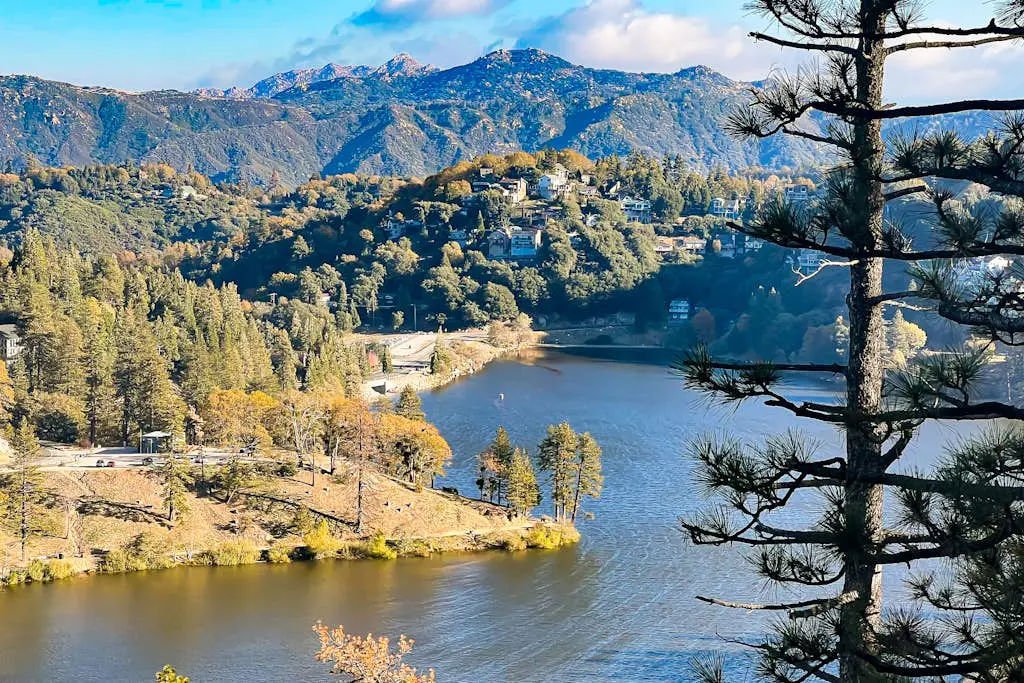 Lakeside Serenity