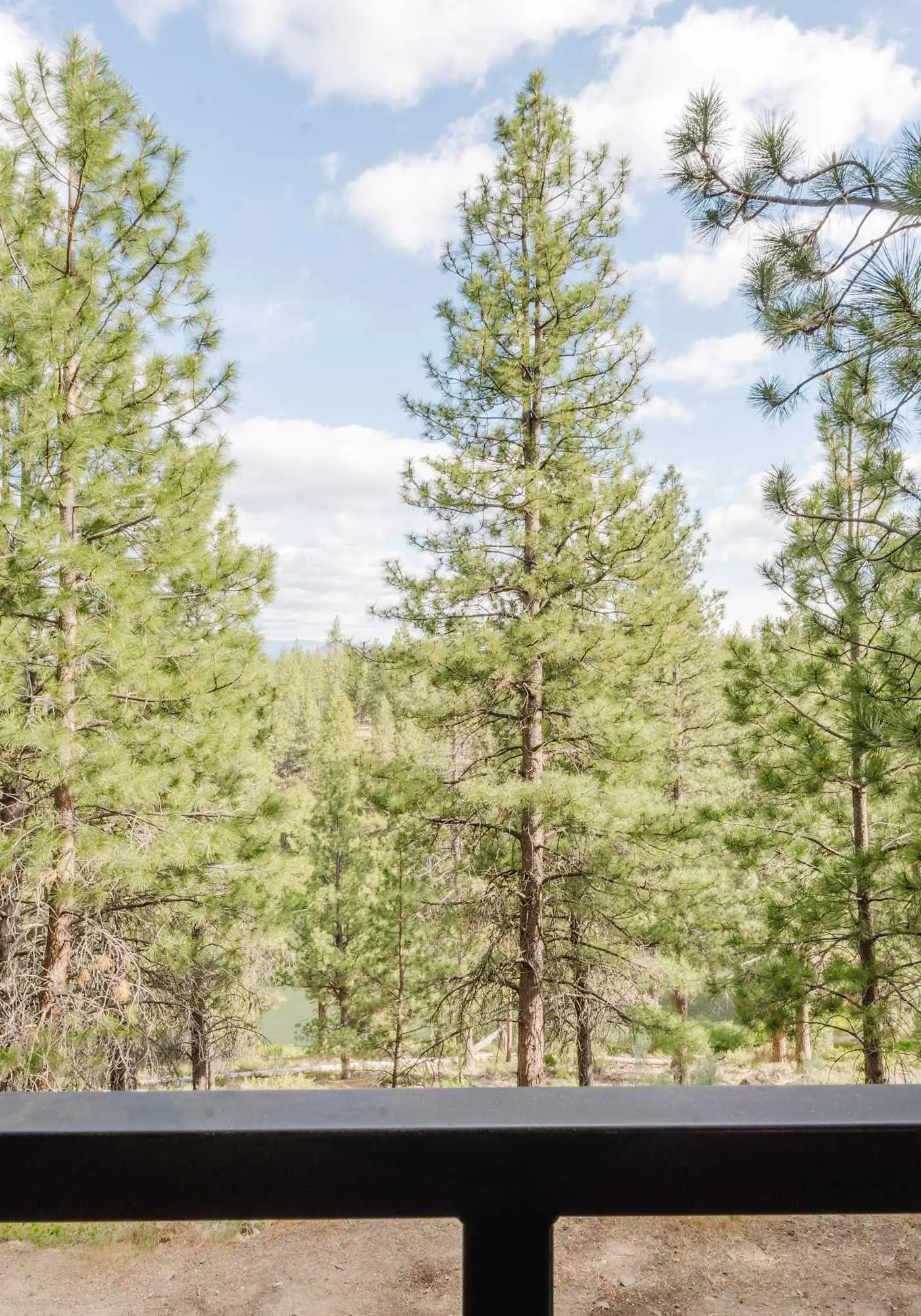 1BR Condo, Pool & Hot Tub, fitness center, trails