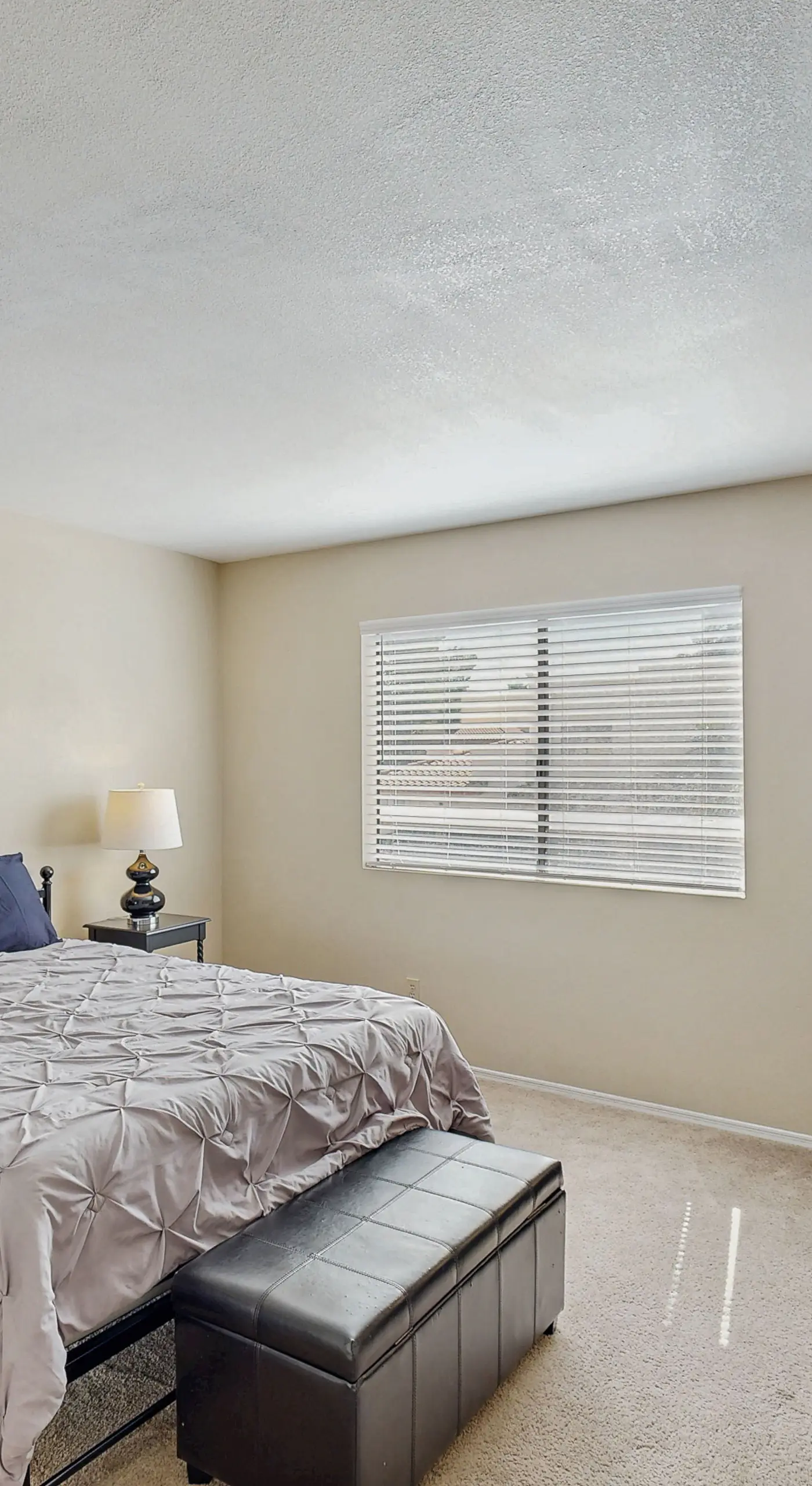 Extended Stay in Tucson! Dog-Friendly Townhome