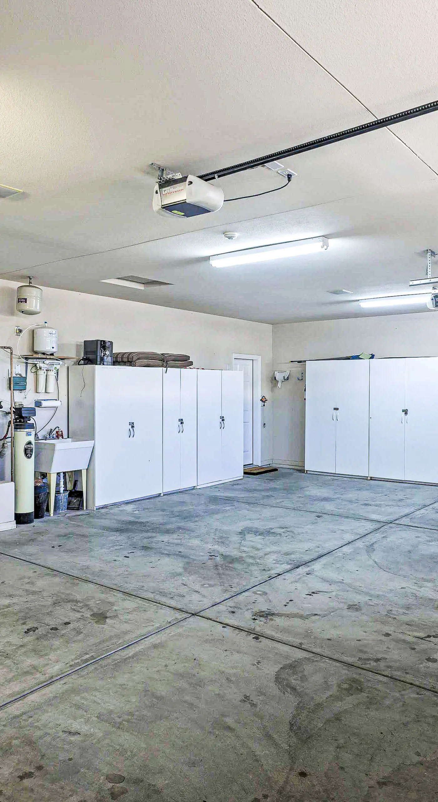 Poolside Bliss: Pet-Friendly Lake Havasu City Gem