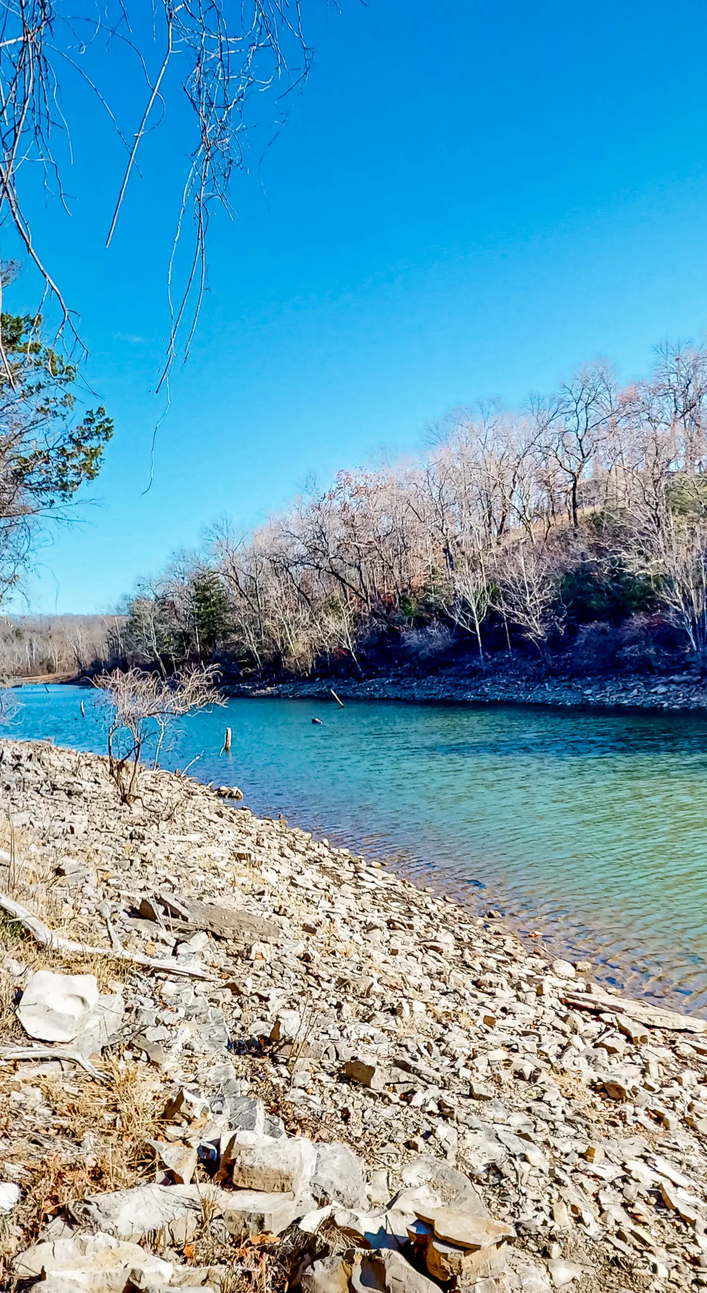Relax at 'The Cove' Waterfront Getaway