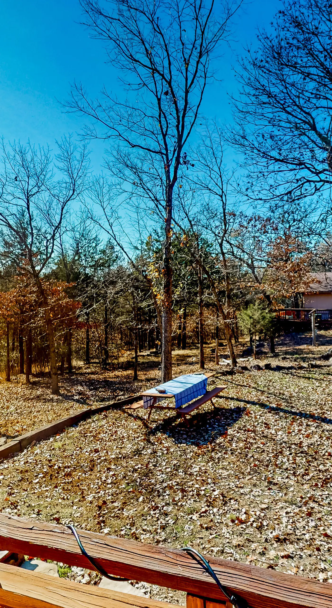 Relax at 'The Cove' Waterfront Getaway