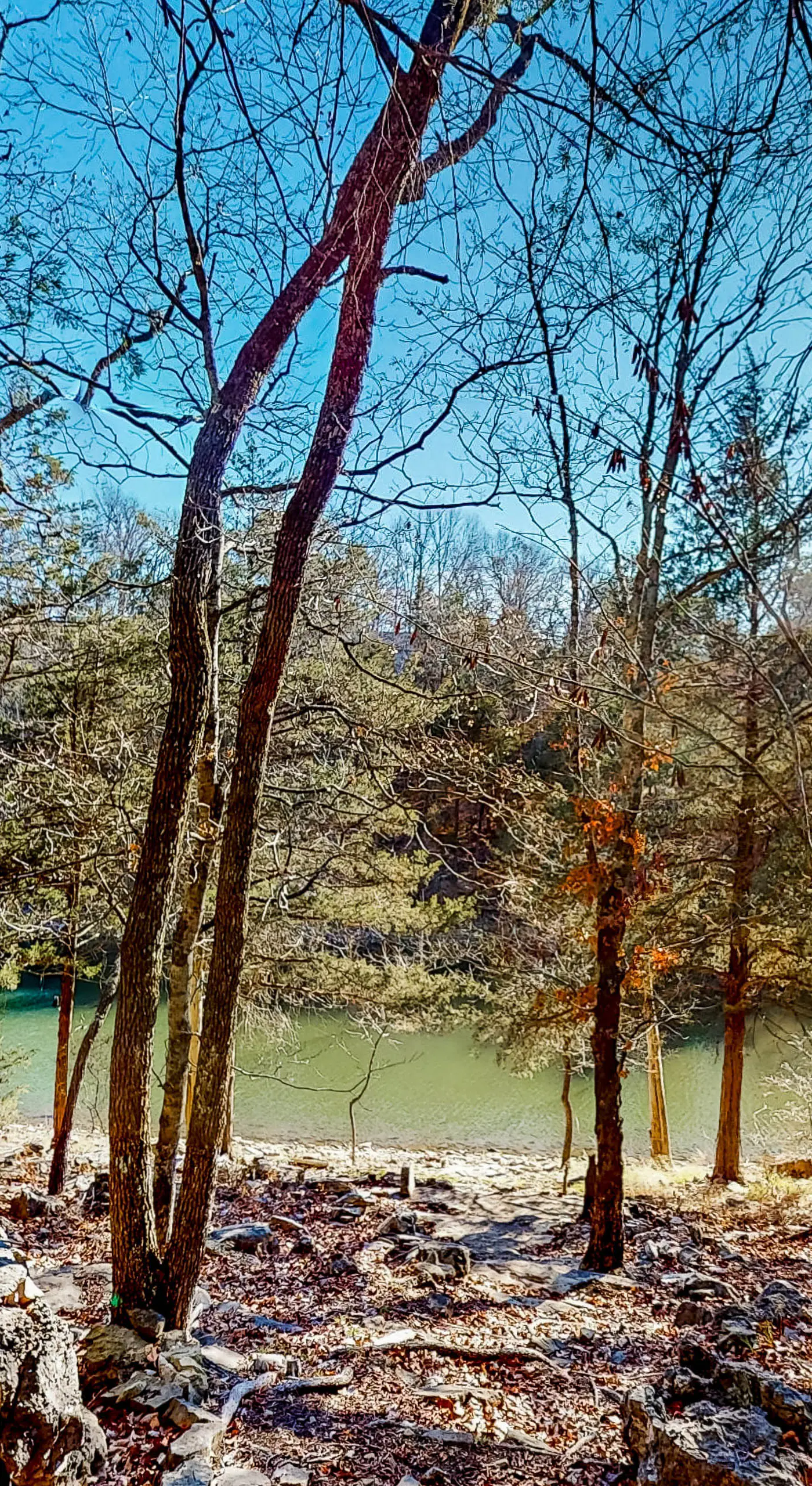 Relax at 'The Cove' Waterfront Getaway