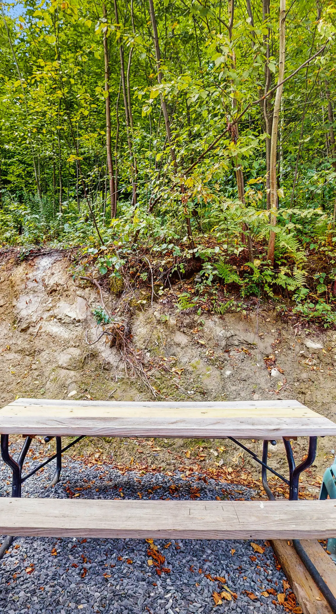 Tiny House at Sugarbush North: Adventure Hub!