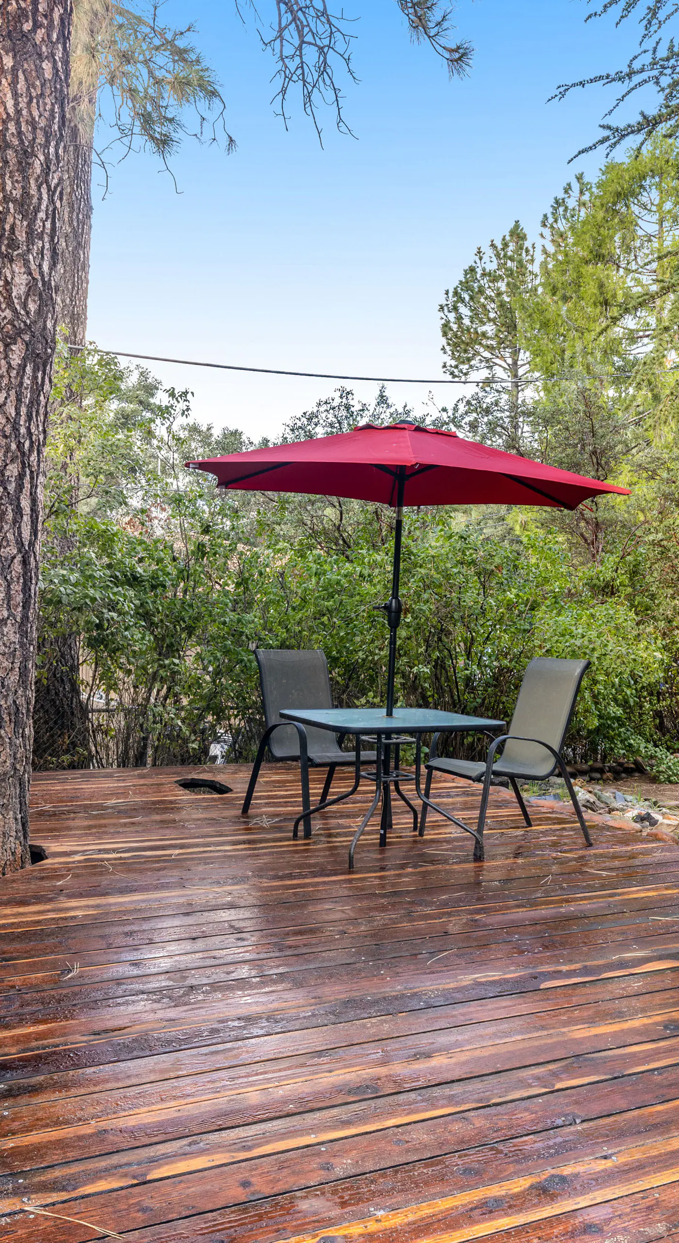 Buckthorn Beauty: Private Hot Tub & Lounge Space