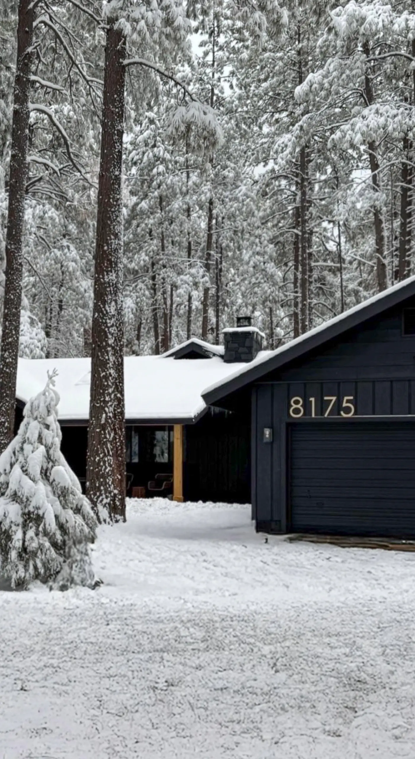 Hot Tub & Game Room! Pinetop 'Wild Horse Retreat'
