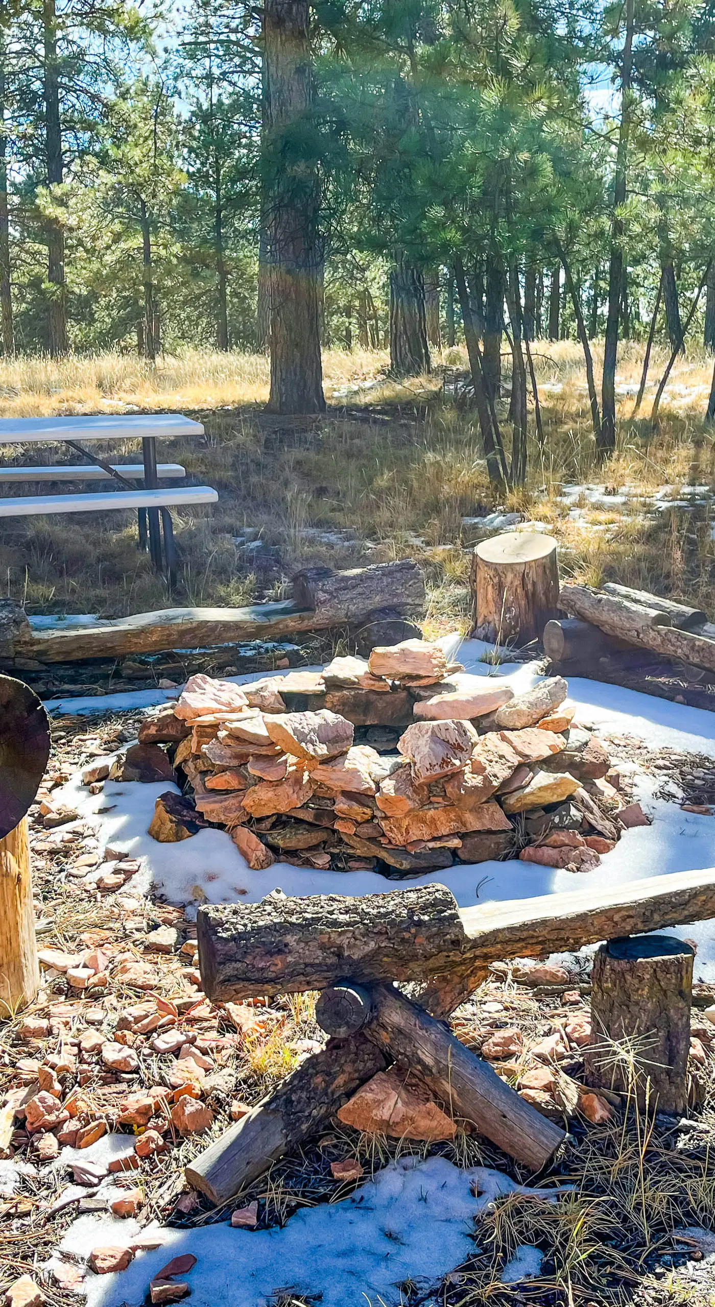 Tranquil Wet Mtn Cabin w/ Views on 3 Acres!