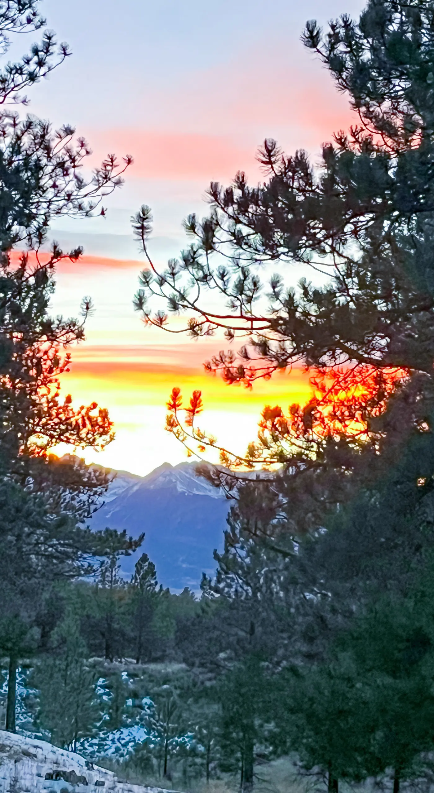 Tranquil Wet Mtn Cabin w/ Views on 3 Acres!
