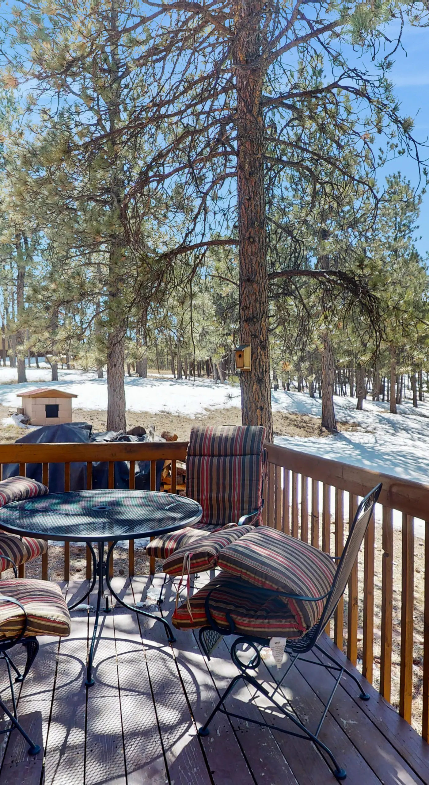 Tranquil Wet Mtn Cabin w/ Views on 3 Acres!