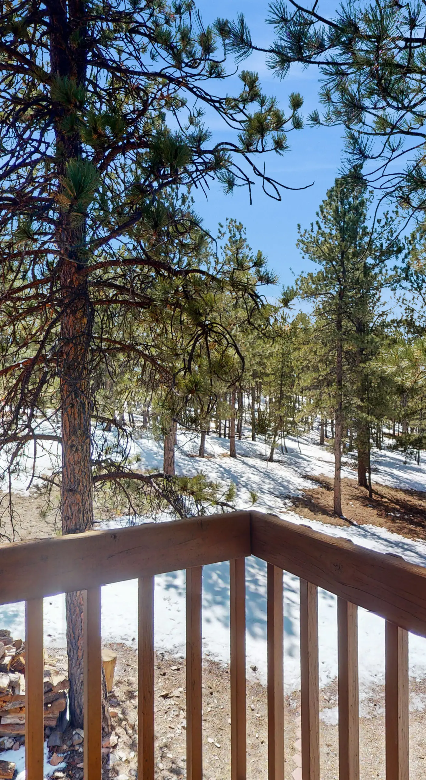 Tranquil Wet Mtn Cabin w/ Views on 3 Acres!